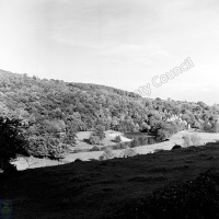 River Swale, Whitecliffe Woods